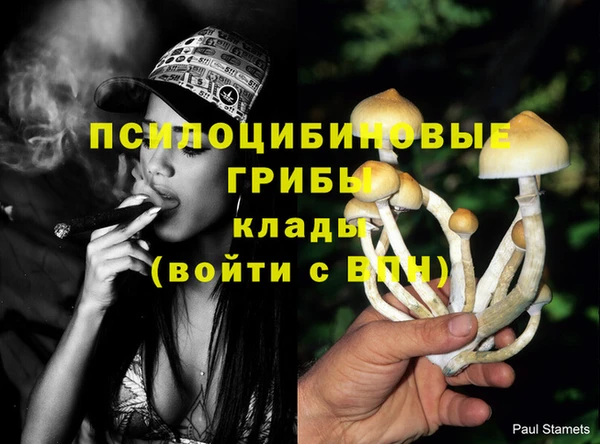 а пвп мука Алзамай