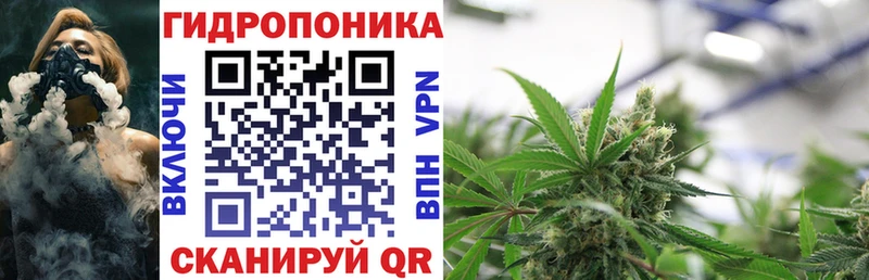 где найти наркотики  Оленегорск  Бошки Шишки OG Kush 